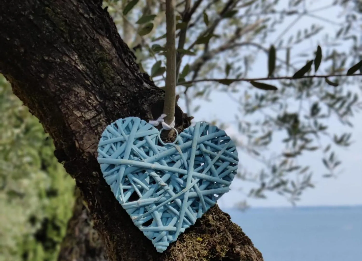 Campsite Campeggio Della Colombaia Padenghe sul Garda