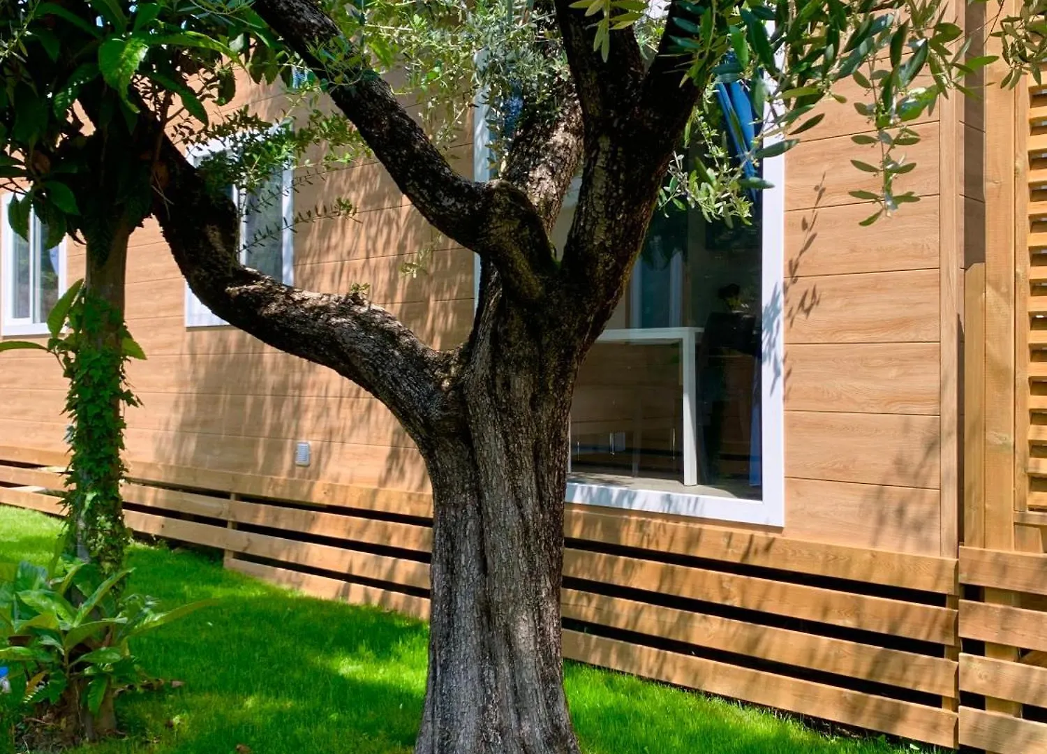 Campingplatz Campeggio Della Colombaia Padenghe sul Garda Italien